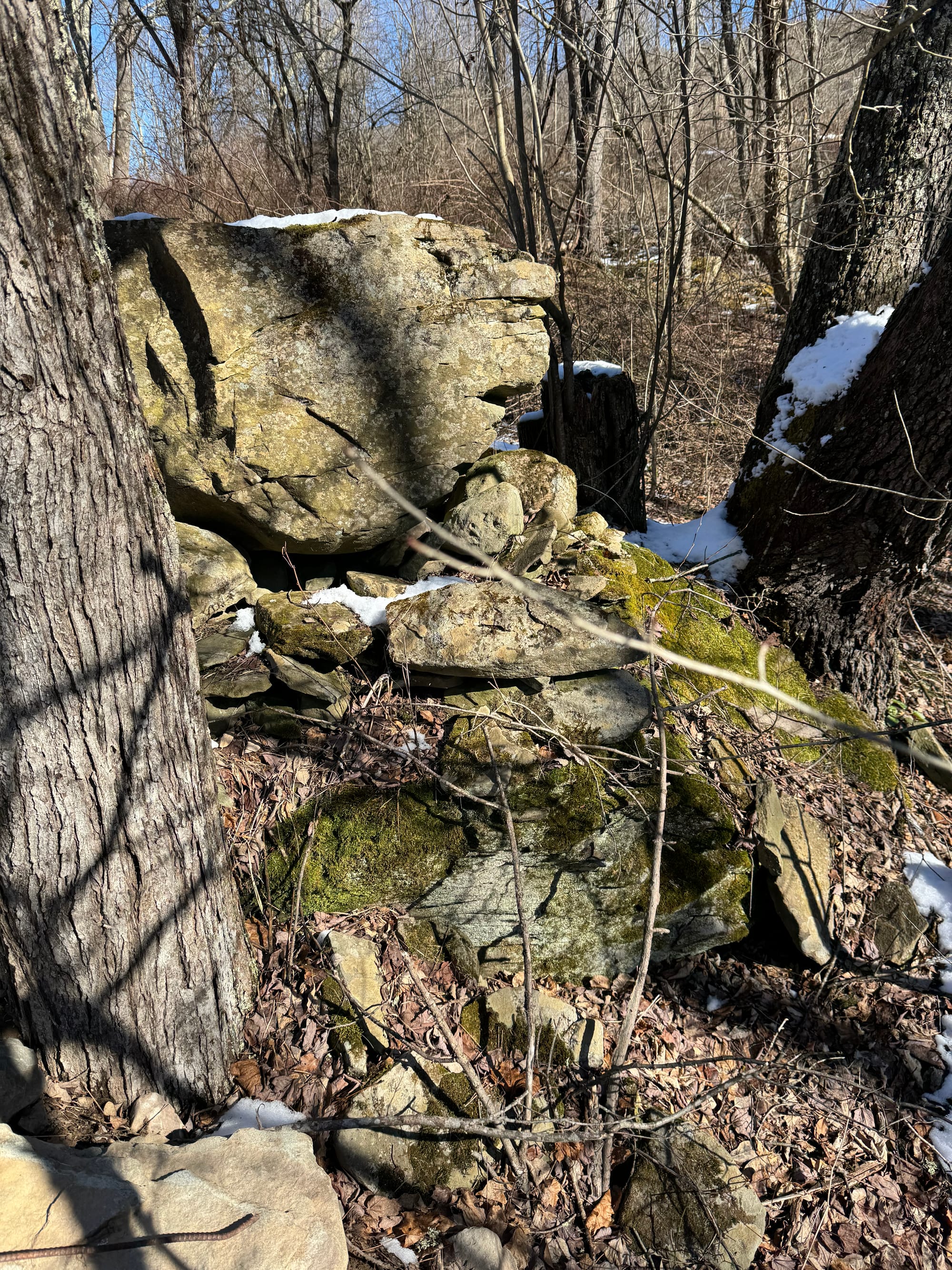 A rock outcropping with little caves, indicative of a 'fairy house'. 